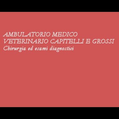 Ambulatorio Medico Veterinario Capitelli & Grossi