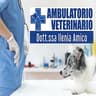 Logo Ambulatorio veterinario Dott.ssa Ilenia Amico