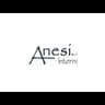 Logo Anesi Interni