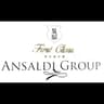 Logo Ansaldi Driver