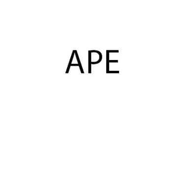Ape Srl