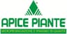 Logo 'Apice Piante' del dr. Di Primio Roberto