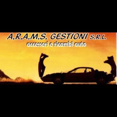A.R.A.M.S. GESTIONI