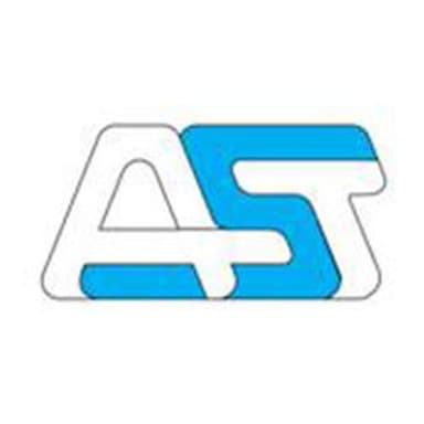 Automation Service Torino Srl