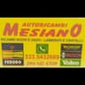 Logo Autoricambi Mesiano