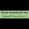 Logo Autorimessa Etnea Autoservizi
