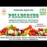 Logo Azienda Agricola Pellegrino