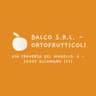 Logo Balco S.r.l. - Ortofrutticoli