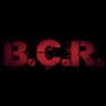Logo B.C.R. Butti Commercio Rottami