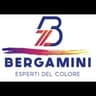 Logo Bergamini