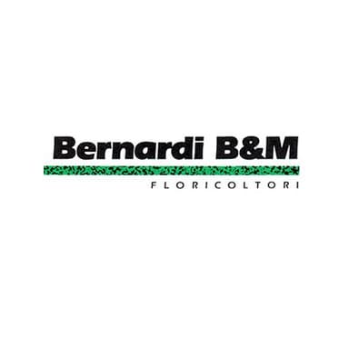 Bernardi B. & M. di Vidotto Bruna & C.