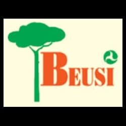 Beusi