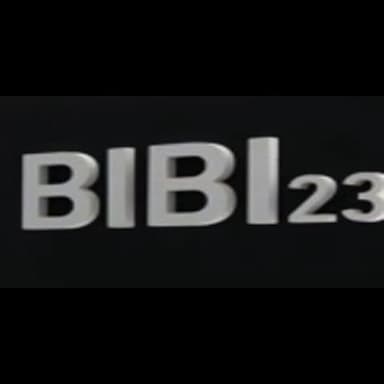 Bibi23