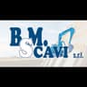 Logo B.M. SCAVI