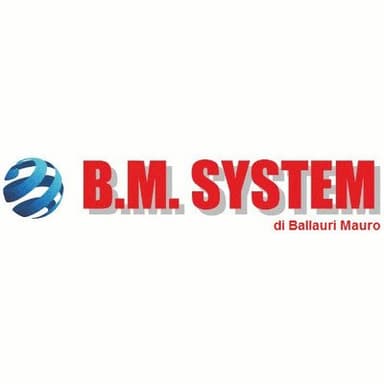 B.M. System