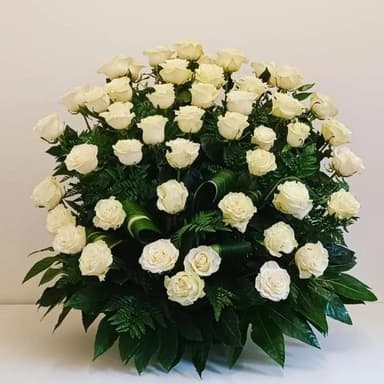 Borboni Fiori e Piante