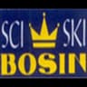 Logo Bosin SKI
