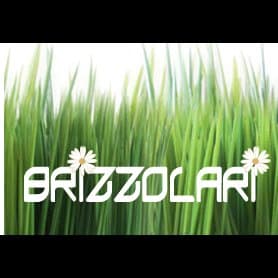 Brizzolari