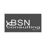 Logo Bsn Consulting 42