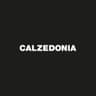 Logo Calzedonia