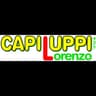 Logo Capiluppi Lorenzo Snc