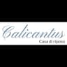 Logo Casa di Riposo Calicantus