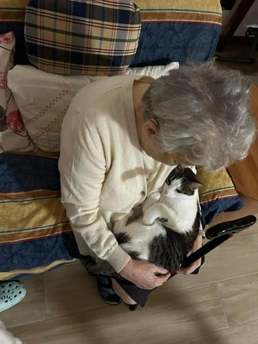 Casa Famiglia “Nuvole di Camomilla”