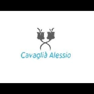 Cavaglià Alessio Giardinaggio