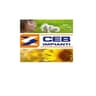 Logo Ceb Impianti