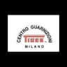 Logo Centro Guarnizioni Tiger