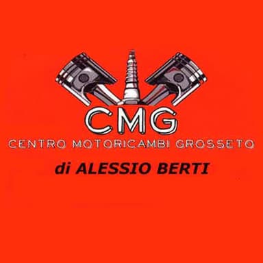 Centro Motoricambi Grosseto  Alessio Berti