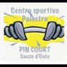 Logo Centro Sportivo Palestra Pin Court