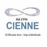 Logo Cienne di Nicolae Ana