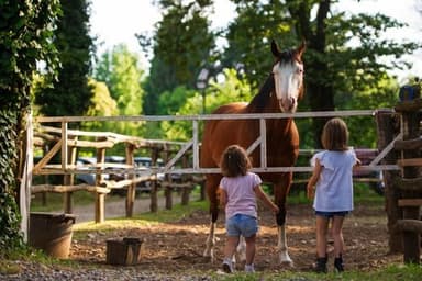 Circolo Ippico Le Fontanelle Ranch