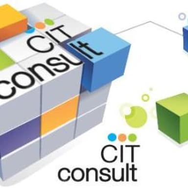Cit Consult