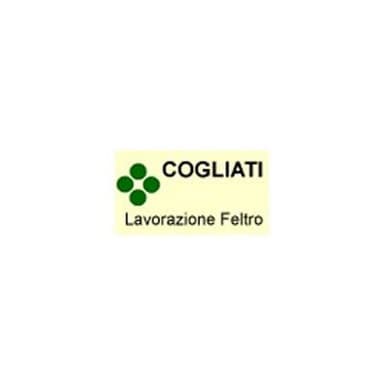 Cogliati Feltri