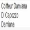 Logo Coiffeur Damiana