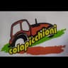 Logo Colapicchioni