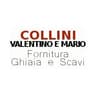 Logo Collini Valentino E Mario