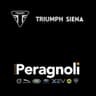 Logo Concessionaria Triumph Siena