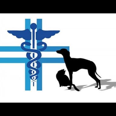 Dalle Feste Dr. Attilio