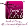 Logo Danceskyland Asd