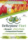 Logo Dellepiane Fiori di Scoleziti Patrizia