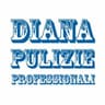 Logo Diana Pulizie Professionali