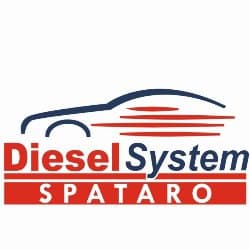 Diesel System