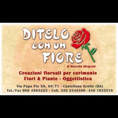 Ditelo con Un Fiore