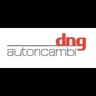 Logo D.N.G. Autoricambi
