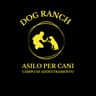 Logo Dog Ranch