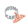 Logo Dromo Kart