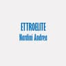 Logo Elettroelite Nardini Andrea